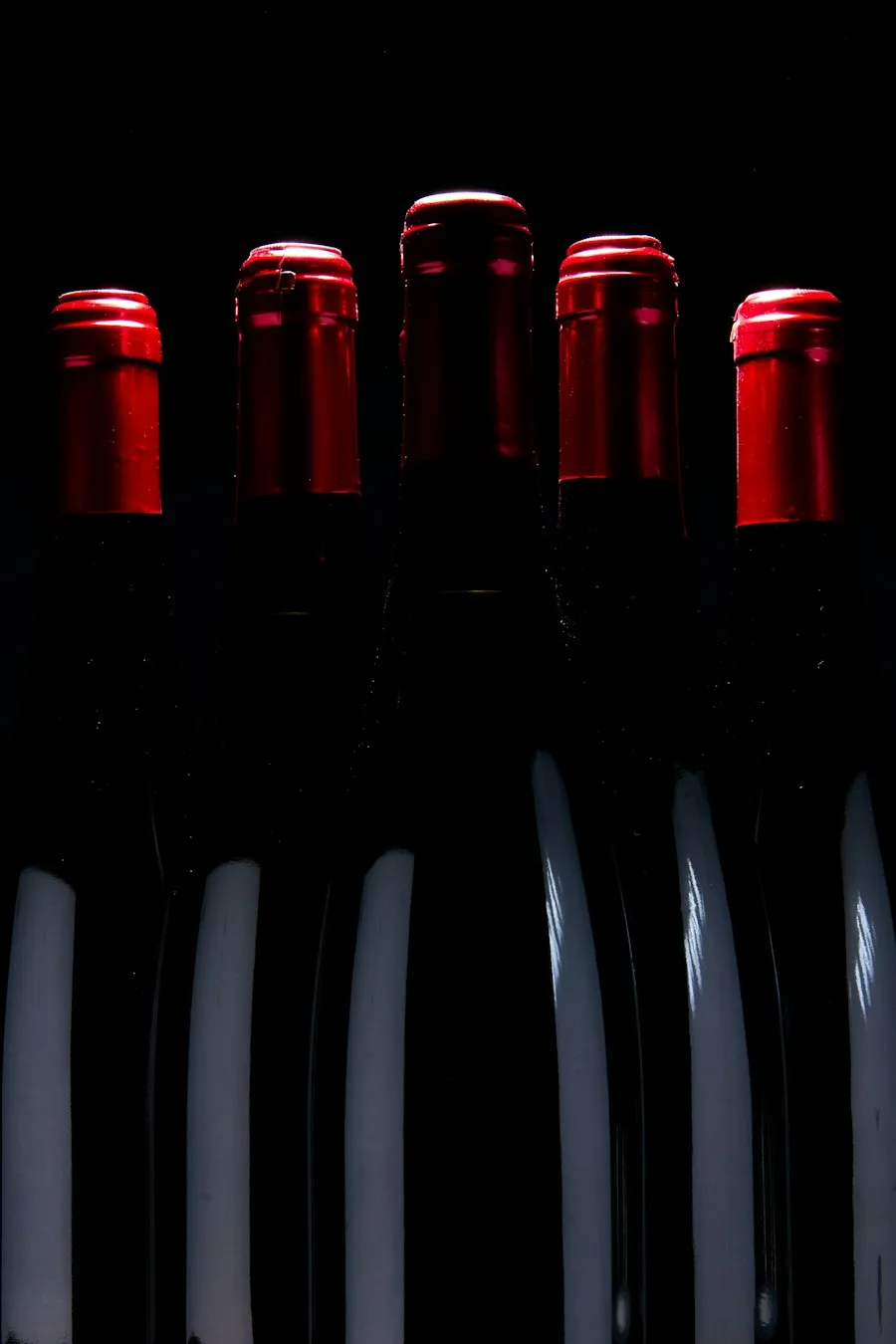 Pinot Noir Bündner Herrschaft